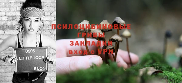 МДПВ Богородск