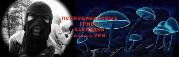 МДПВ Богородск