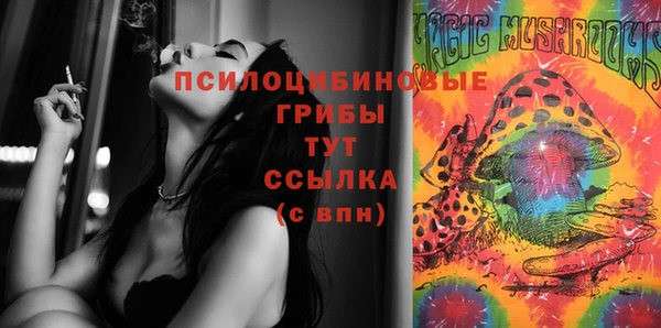 метамфетамин Богданович