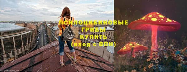 МДПВ Богородск