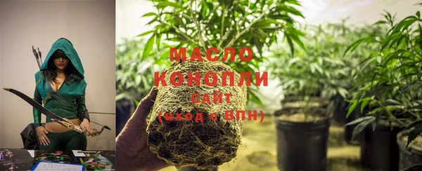 МДПВ Богородск