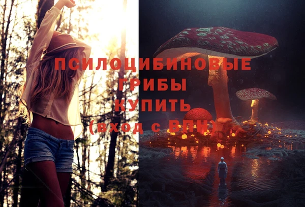 синтетический гашиш Богородицк