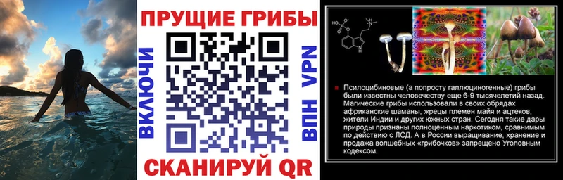 Псилоцибиновые грибы Magic Shrooms  где продают наркотики  Игра 
